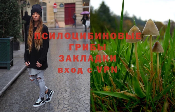 молекула духа Костерёво