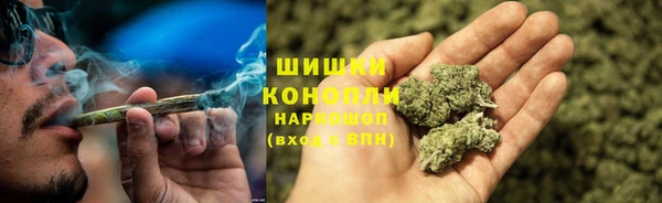 твердый Корсаков