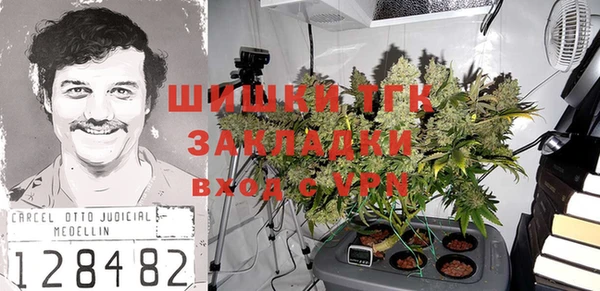 твердый Корсаков