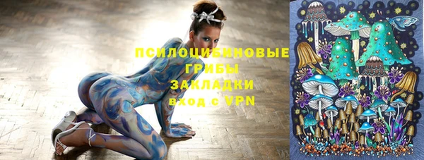 spice Краснослободск