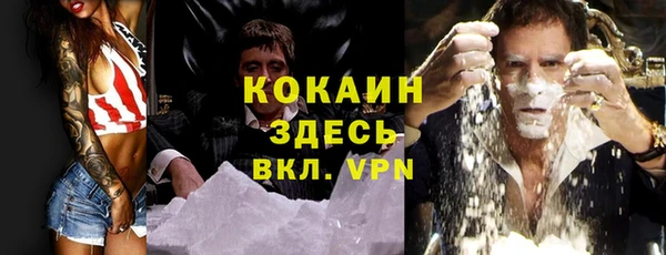 твердый Корсаков